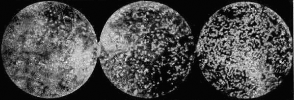 Броуновское движение под микроскопом. Броуновское движение под микроскопом. Непрерывное и беспорядочное движение молекул. Броуновское движение под микроскопом. Броуновское движение под микроскопом.